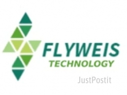 flyweis