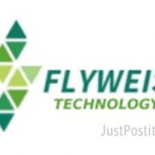 flyweis